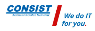 Consist-Software-Solutions-LP